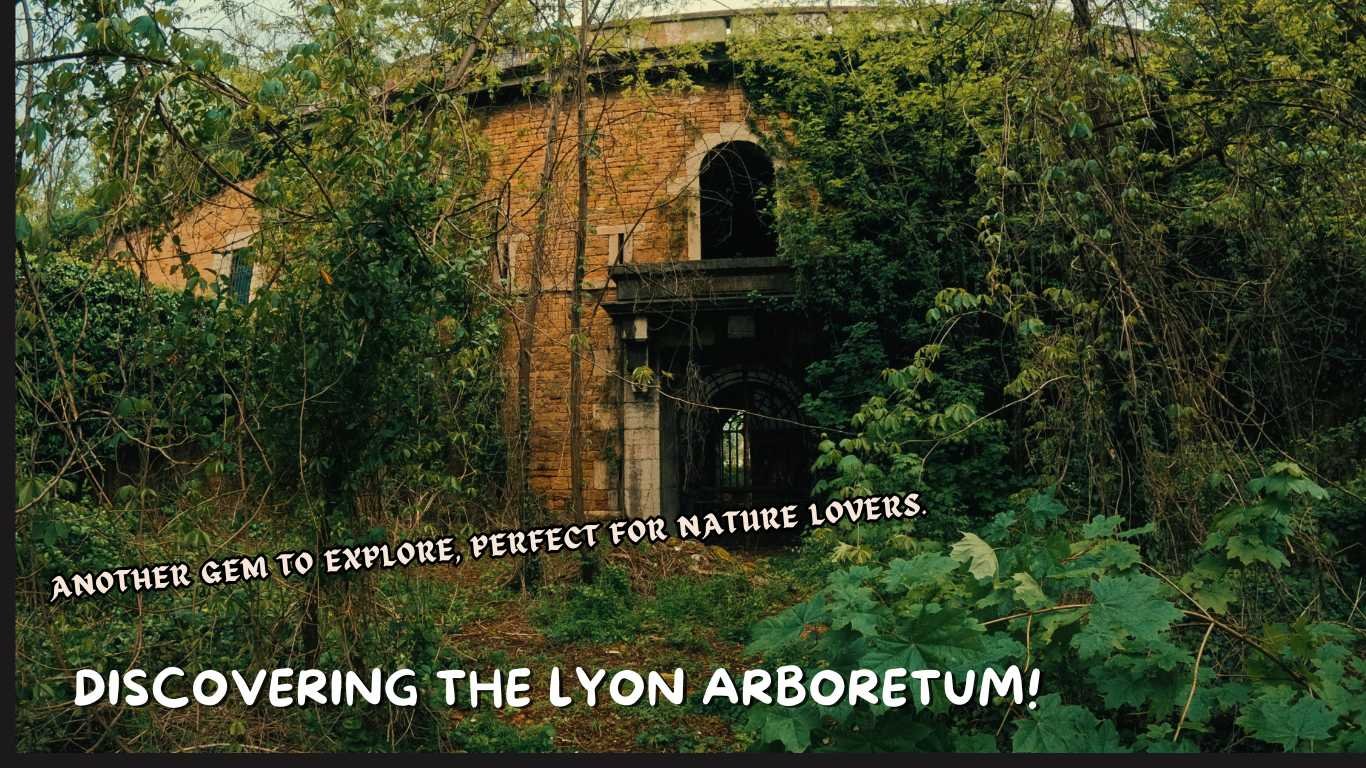 An old, rustic structure overgrown with greenery in Lyon Arboretum, a perfect spot for nature lovers.