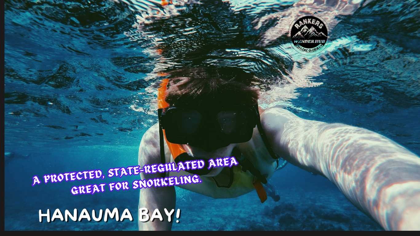 A snorkeler explores the clear waters of Hanauma Bay, a protected, state-regulated snorkeling area.