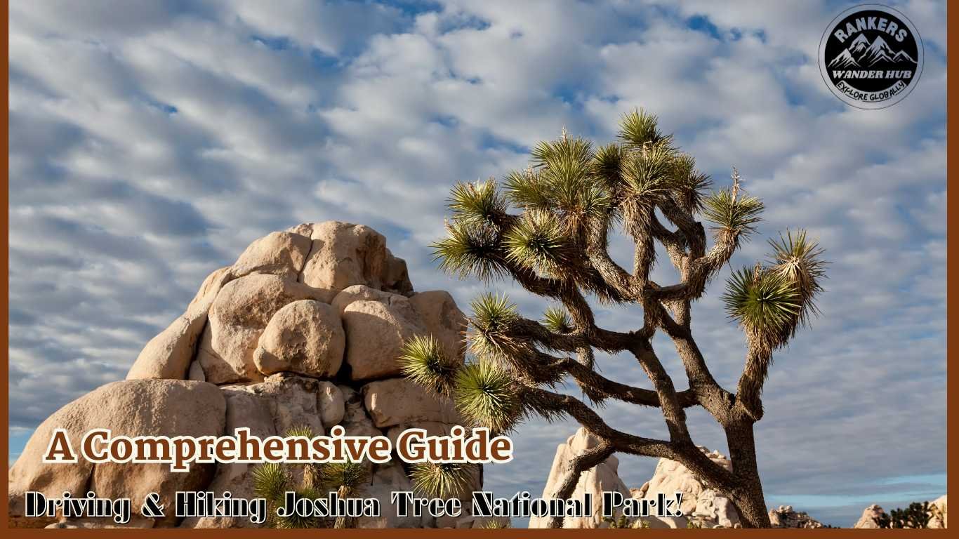  Scenic view of Joshua Tree and rock formations against a cloudy sky in Joshua Tree National Park.