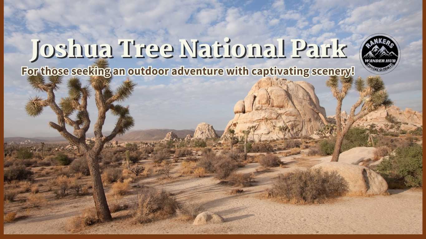 Desert landscape with iconic Joshua Trees and rock formations in Joshua Tree National Park.