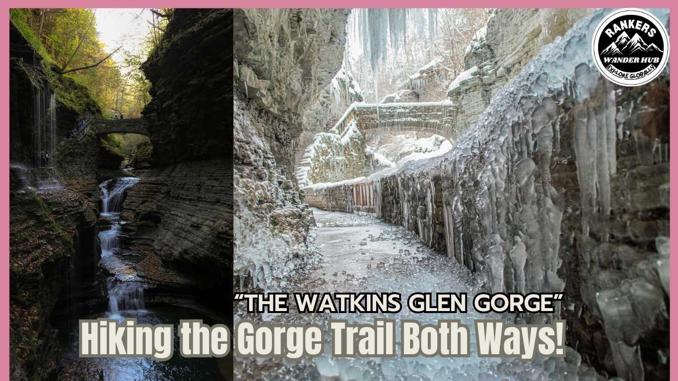  "Winter and autumn scenes of Watkins Glen Gorge with icy pathways and flowing waterfalls."