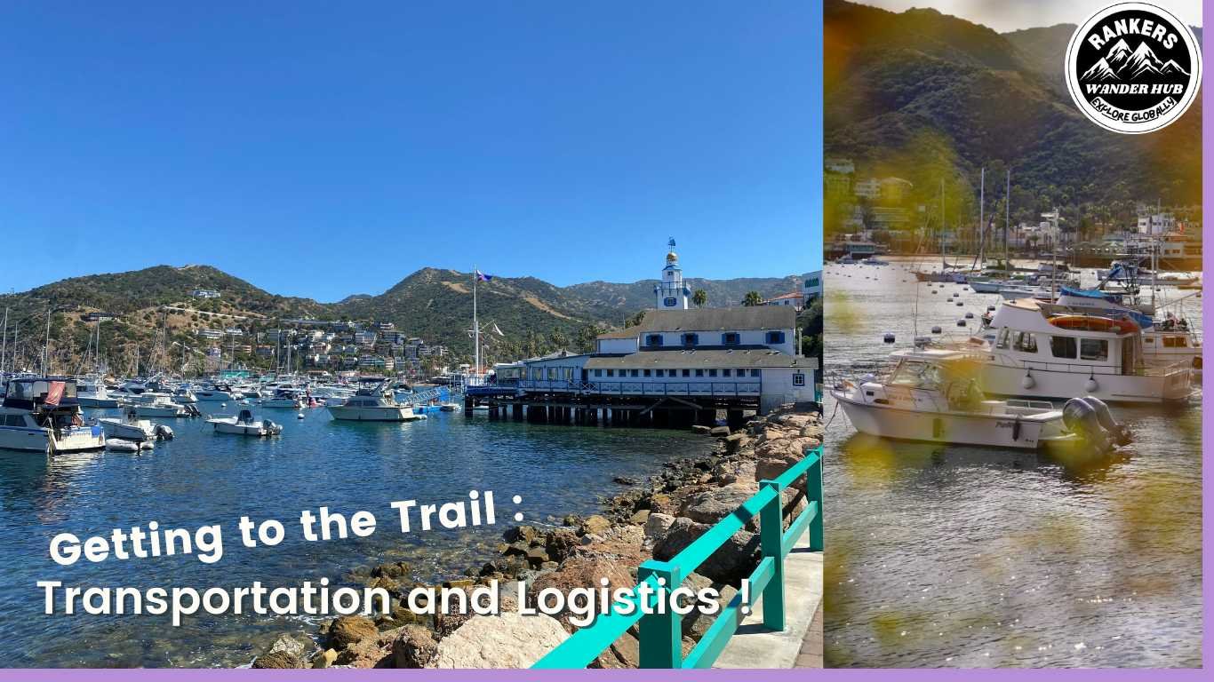 "View of the harbor and lighthouse at Catalina Island with boats docked, showcasing scenic views of the coastline and the surrounding hills."